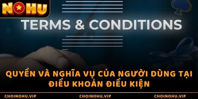 Quyền và nghĩa vụ của người dùng tại điều khoản điều kiện